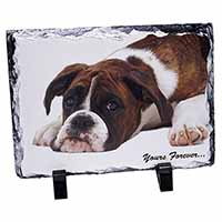 Boxer Dog "Yours Forever...", Stunning Photo Slate