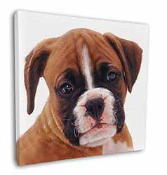 Red and White Boxer Puppy Square Canvas 12"x12" Wall Art Picture Print