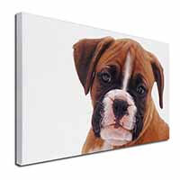 Red and White Boxer Puppy Canvas X-Large 30"x20" Wall Art Print