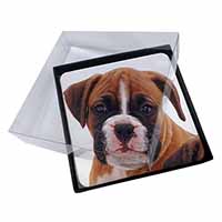 4x Red and White Boxer Puppy Picture Table Coasters Set in Gift Box