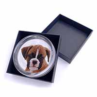 Red and White Boxer Puppy Glass Paperweight in Gift Box