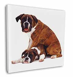 Boxer Dog with Puppy Square Canvas 12"x12" Wall Art Picture Print