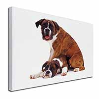 Boxer Dog with Puppy Canvas X-Large 30"x20" Wall Art Print
