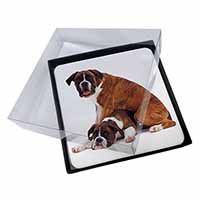 4x Boxer Dog with Puppy Picture Table Coasters Set in Gift Box