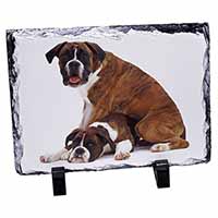Boxer Dog with Puppy, Stunning Photo Slate