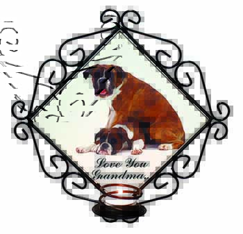 Boxer Dogs 