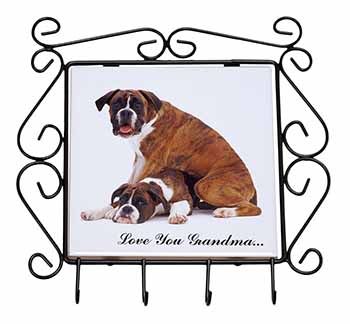 Boxer Dogs 