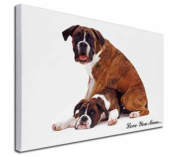 Boxer Dogs 