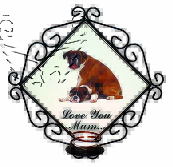 Boxer Dogs 