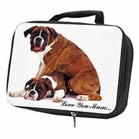 Boxer Dogs 