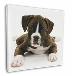 Boxer Dog Square Canvas 12"x12" Wall Art Picture Print