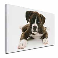 Boxer Dog Canvas X-Large 30"x20" Wall Art Print
