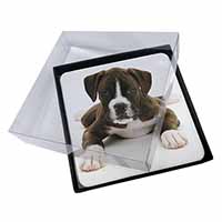 4x Boxer Dog Picture Table Coasters Set in Gift Box