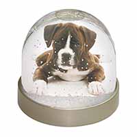 Boxer Dog Snow Globe Photo Waterball