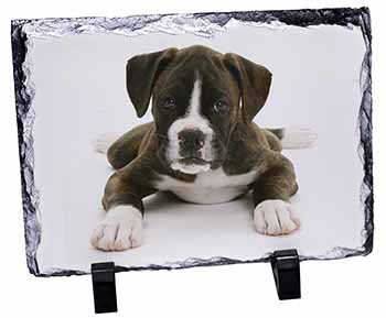 Boxer Dog, Stunning Photo Slate