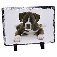 Boxer Dog, Stunning Photo Slate