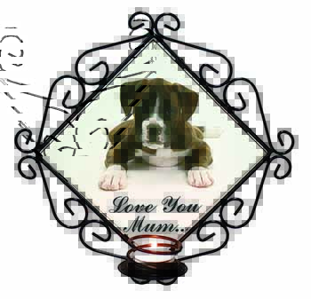 Boxer Dog 