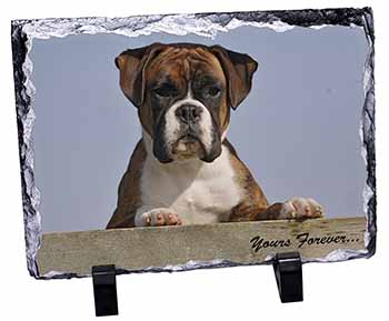 Boxer Dog "Yours Forever...", Stunning Photo Slate