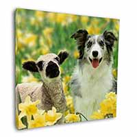 Border Collie Dog and Lamb Square Canvas 12"x12" Wall Art Picture Print