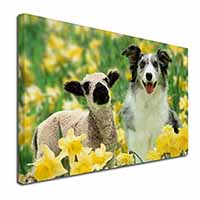 Border Collie Dog and Lamb Canvas X-Large 30"x20" Wall Art Print