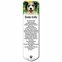 Blue Merle Border Collie Bookmark, Book mark, Printed full colour