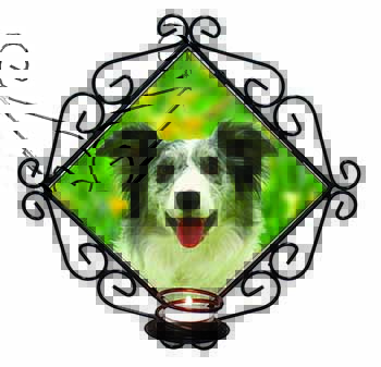 Blue Merle Border Collie Wrought Iron Wall Art Candle Holder