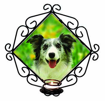 Blue Merle Border Collie Wrought Iron Wall Art Candle Holder