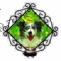 Blue Merle Border Collie Wrought Iron Wall Art Candle Holder