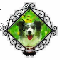 Blue Merle Border Collie Wrought Iron Wall Art Candle Holder