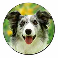 Blue Merle Border Collie Fridge Magnet Printed Full Colour