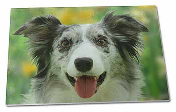 Large Glass Cutting Chopping Board Blue Merle Border Collie