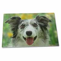 Large Glass Cutting Chopping Board Blue Merle Border Collie