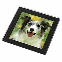 Blue Merle Border Collie Black Rim High Quality Glass Coaster