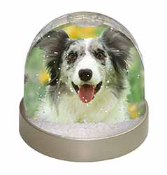 Blue Merle Border Collie Snow Globe Photo Waterball