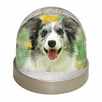 Blue Merle Border Collie Snow Globe Photo Waterball