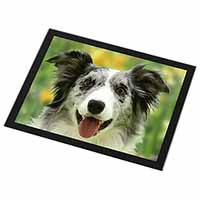 Blue Merle Border Collie Black Rim High Quality Glass Placemat