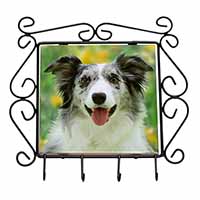 Blue Merle Border Collie Wrought Iron Key Holder Hooks