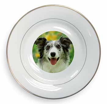 Blue Merle Border Collie Gold Rim Plate Printed Full Colour in Gift Box