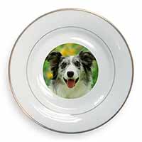 Blue Merle Border Collie Gold Rim Plate Printed Full Colour in Gift Box
