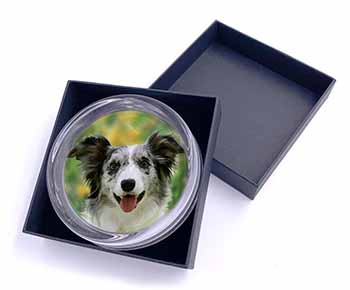 Blue Merle Border Collie Glass Paperweight in Gift Box