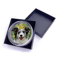 Blue Merle Border Collie Glass Paperweight in Gift Box