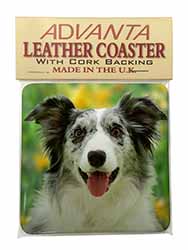 Blue Merle Border Collie Single Leather Photo Coaster