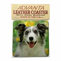 Blue Merle Border Collie Single Leather Photo Coaster