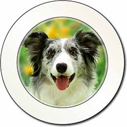 Blue Merle Border Collie Car or Van Permit Holder/Tax Disc Holder