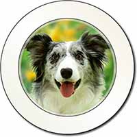 Blue Merle Border Collie Car or Van Permit Holder/Tax Disc Holder