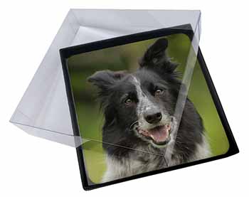 4x Border Collie Dog Picture Table Coasters Set in Gift Box