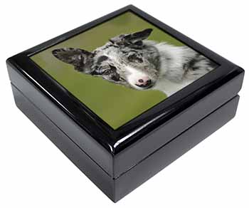 Blue Merle Border Collie Dog Keepsake/Jewellery Box