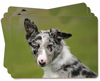 Blue Merle Border Collie Dog Picture Placemats in Gift Box