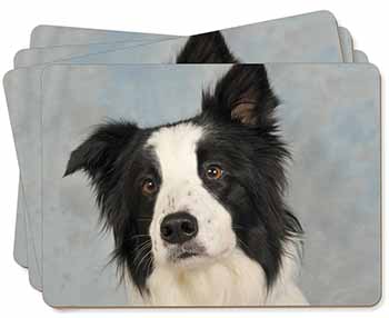 Border Collie Dog Picture Placemats in Gift Box