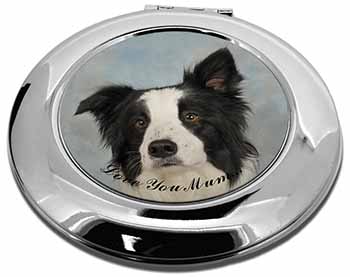 Border Collie Dog 